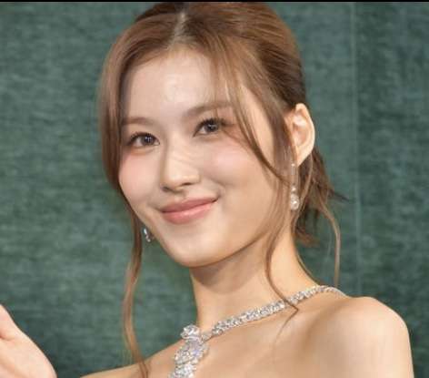 TWICE・日本人ユニット「MISAMO」が“初紅白”、7月デビュー、10代、20代女性から支持