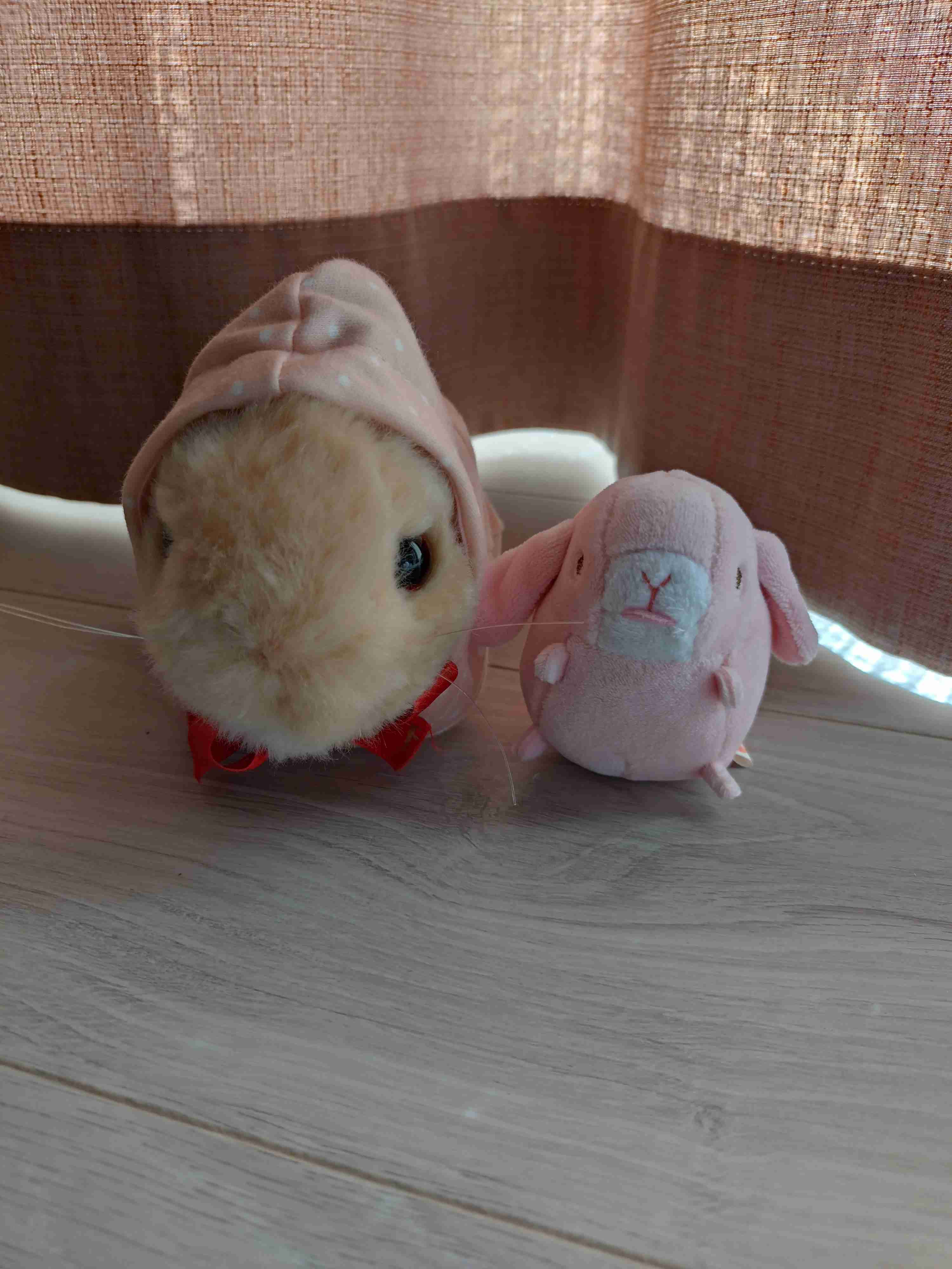 ぬいぐるみを溺愛してる人集合【part10】