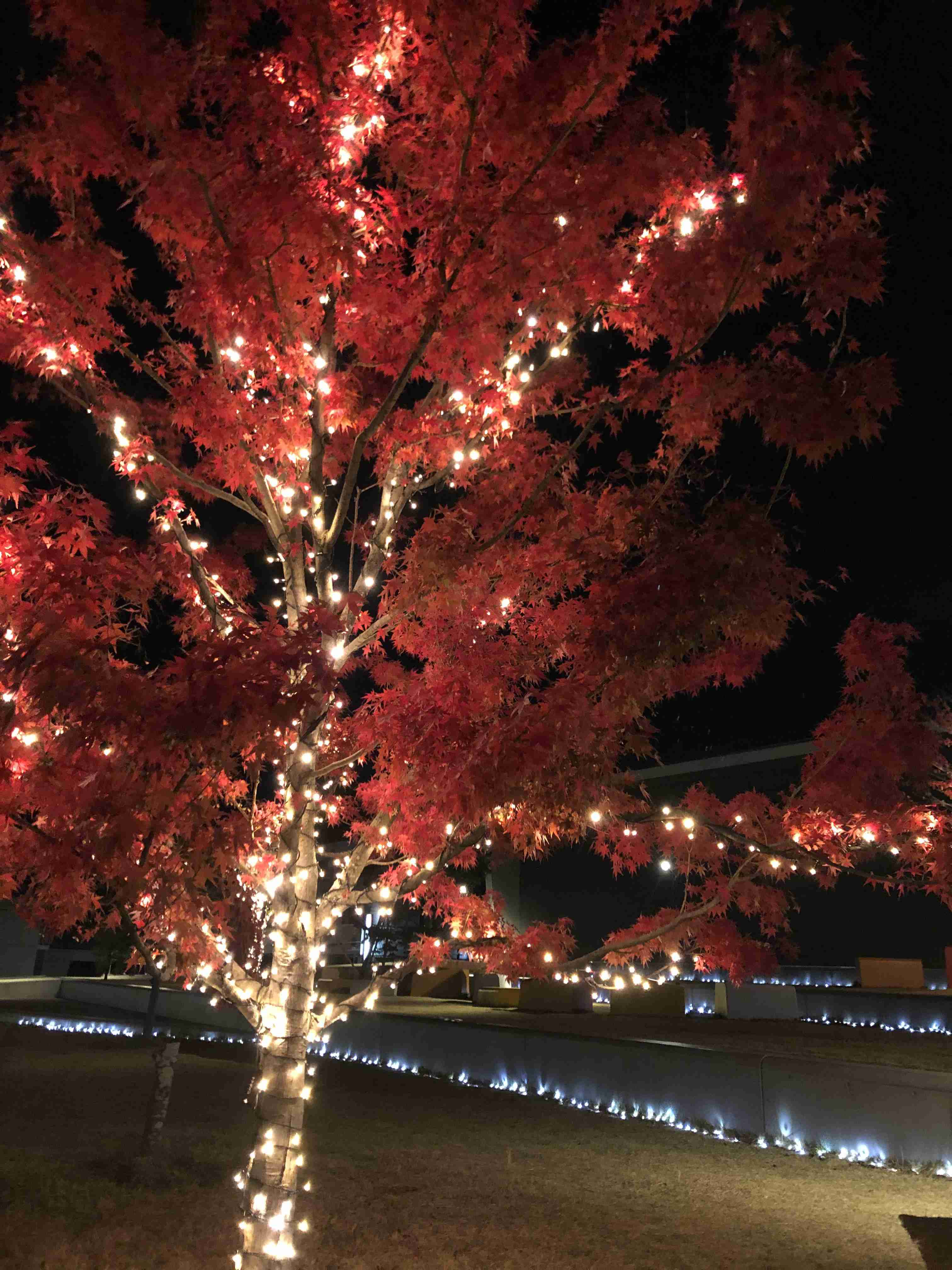 家の周りの風景見せてください。(身バレしないように気をつけてください)