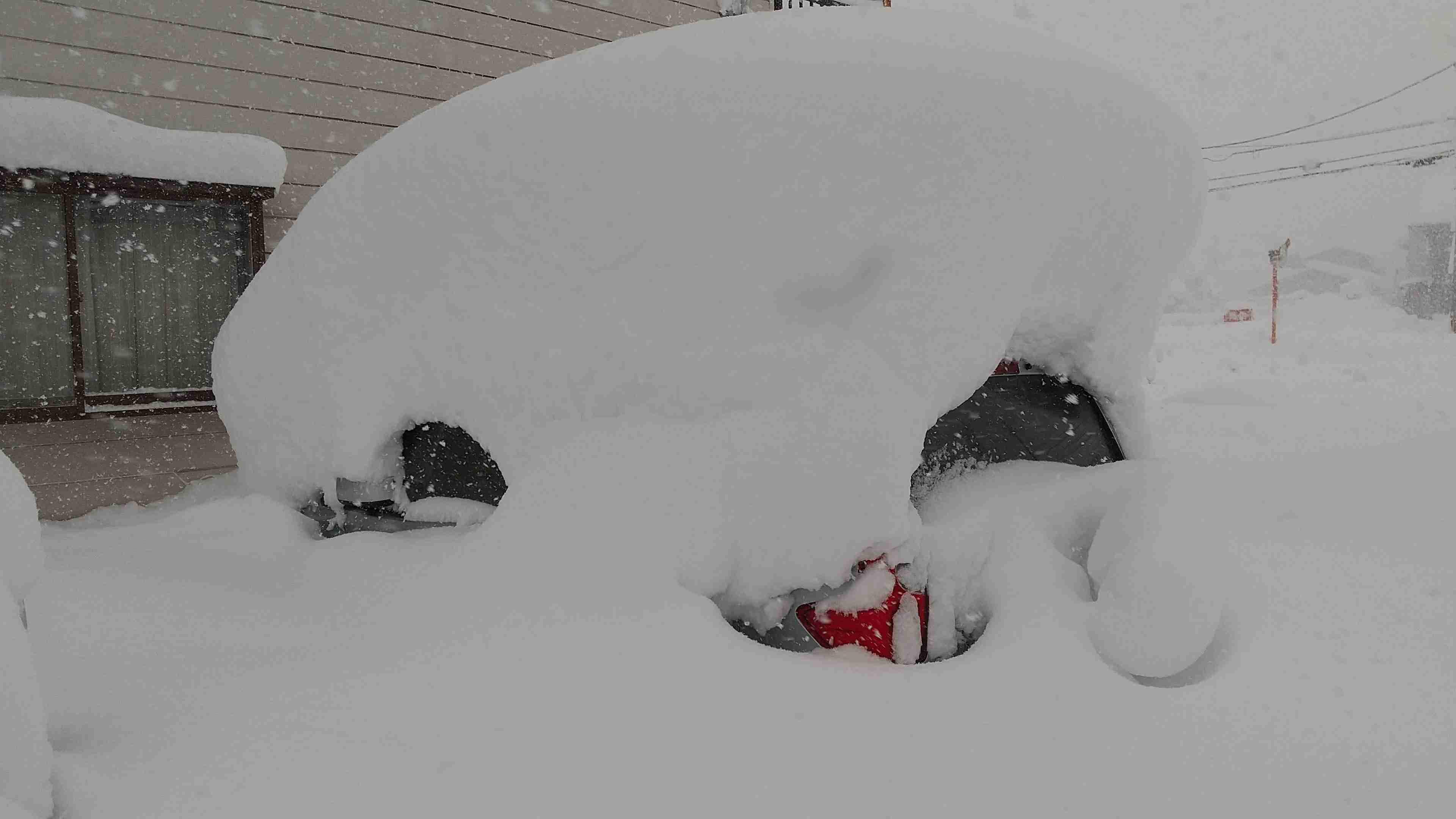 家の周りの風景見せてください。(身バレしないように気をつけてください)