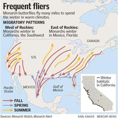 皆さんが好きな昆虫を教えてください!