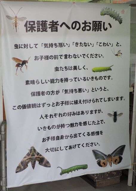 皆さんが好きな昆虫を教えてください!