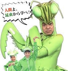 皆さんが好きな昆虫を教えてください!