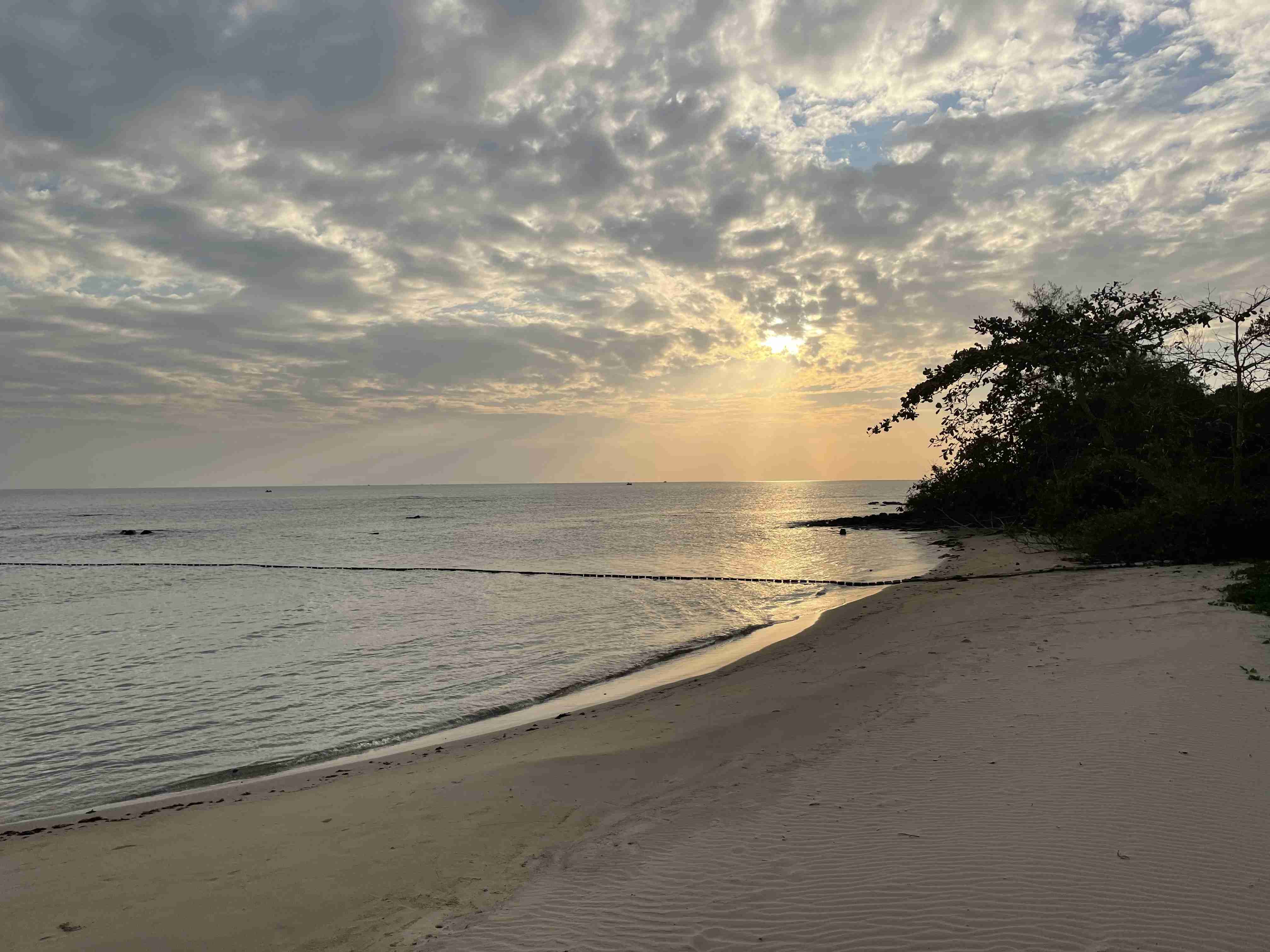 コロナ明けてから旅行はどれくらい行ってる？