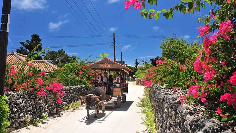 コロナ明けてから旅行はどれくらい行ってる？