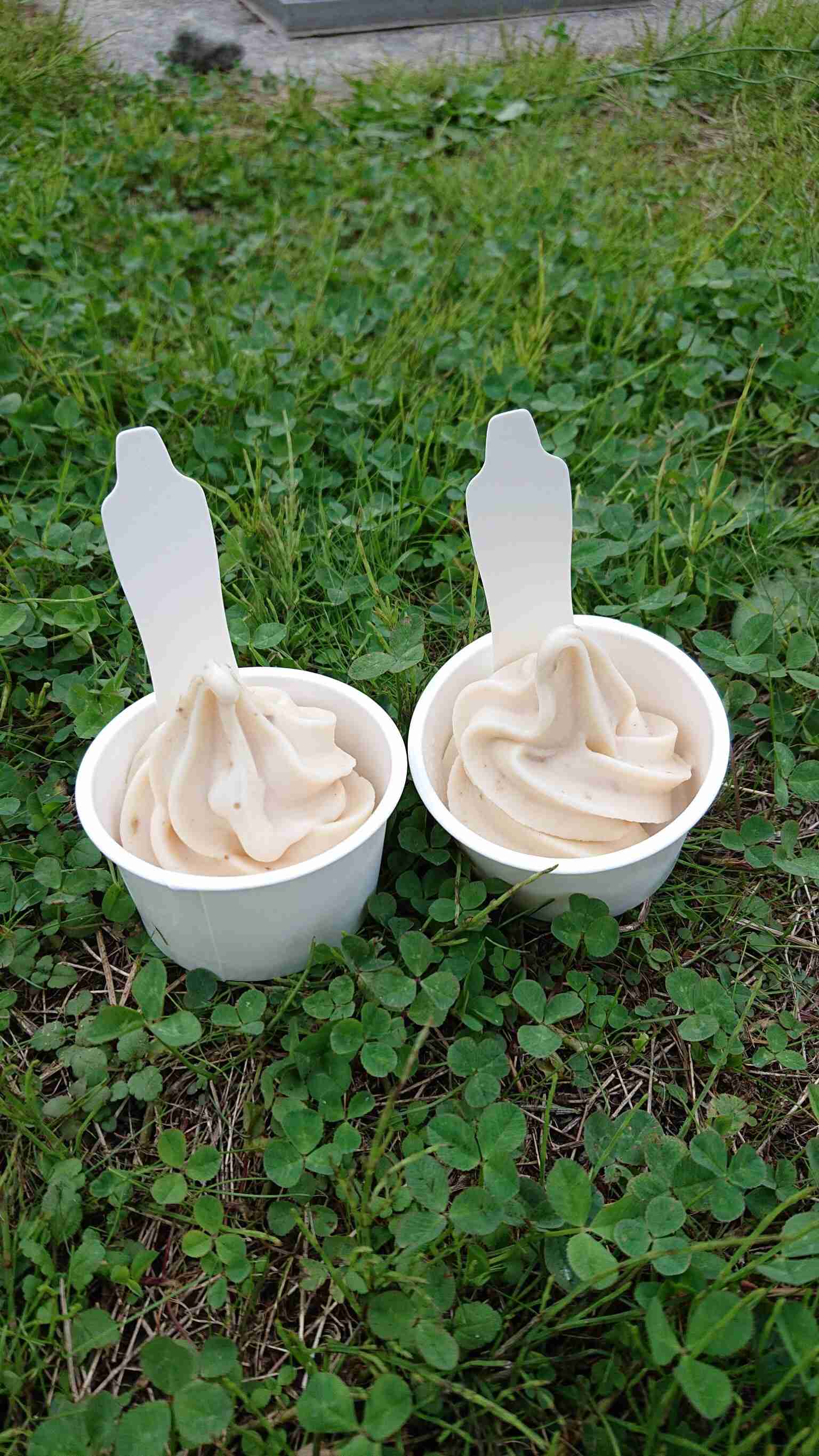 スマホで撮ったソフトクリーム・アイスクリームの画像が見たい