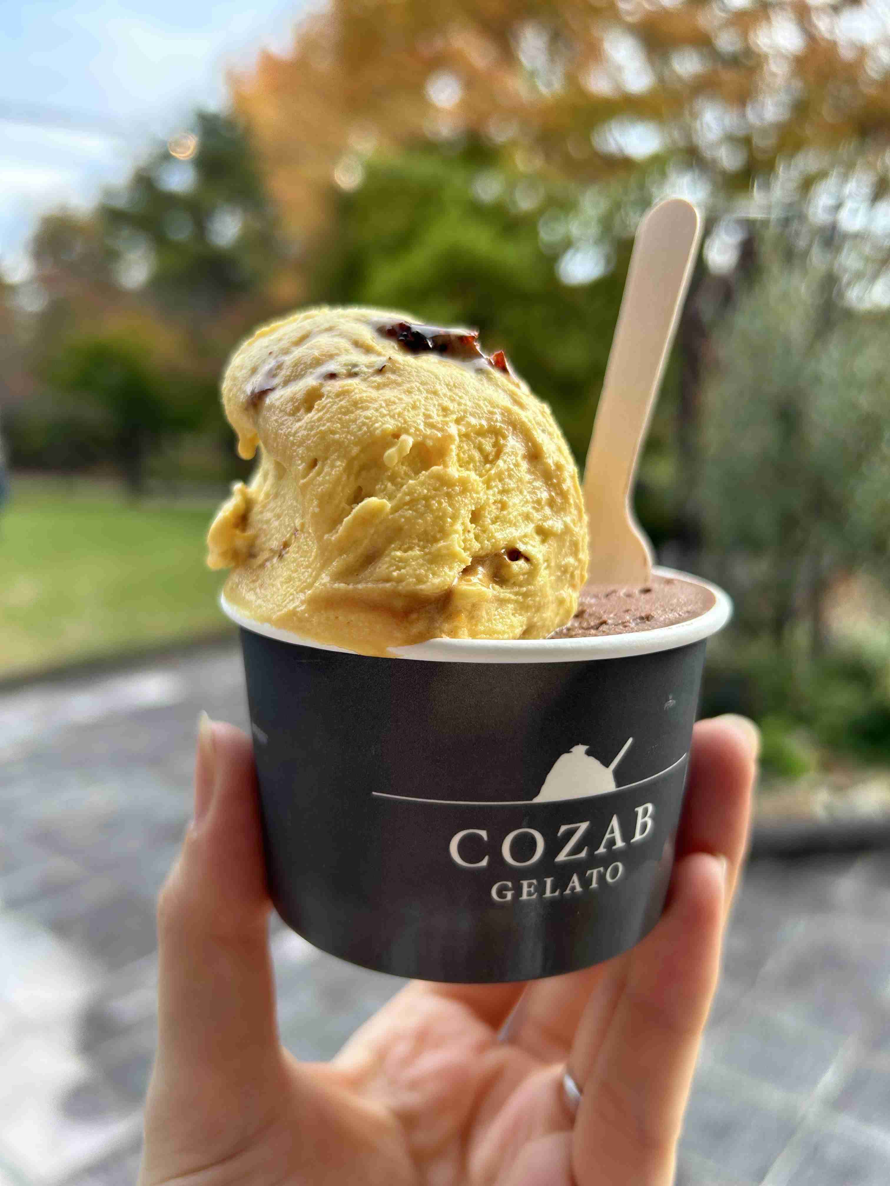 スマホで撮ったソフトクリーム・アイスクリームの画像が見たい