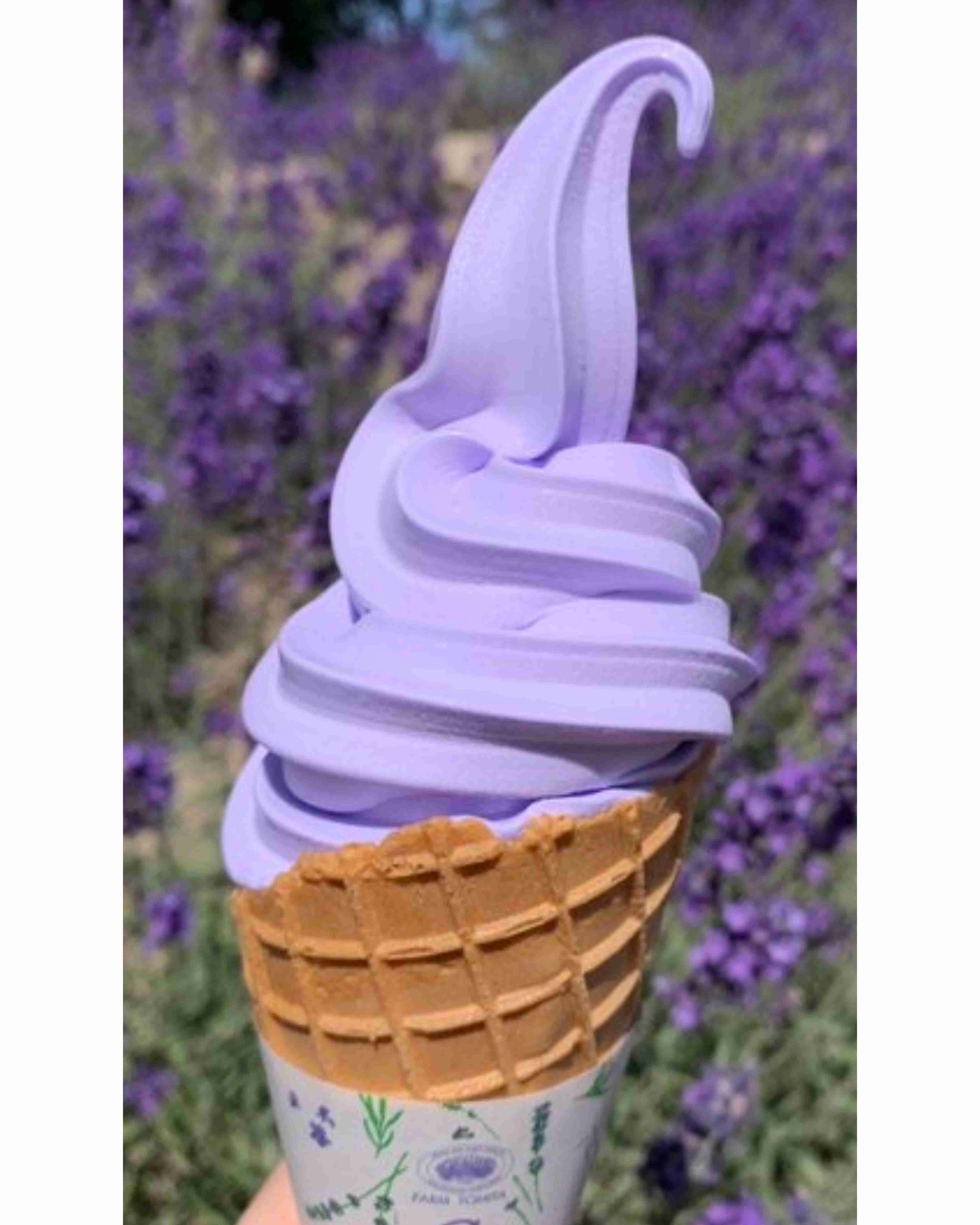 スマホで撮ったソフトクリーム・アイスクリームの画像が見たい