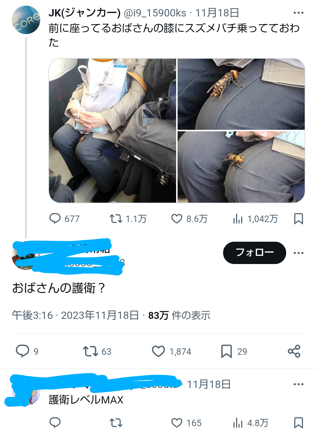 電車内での恐怖体験に悲鳴　女性の膝上にいたスズメバチに「頭に銃口向けられてるレベル」