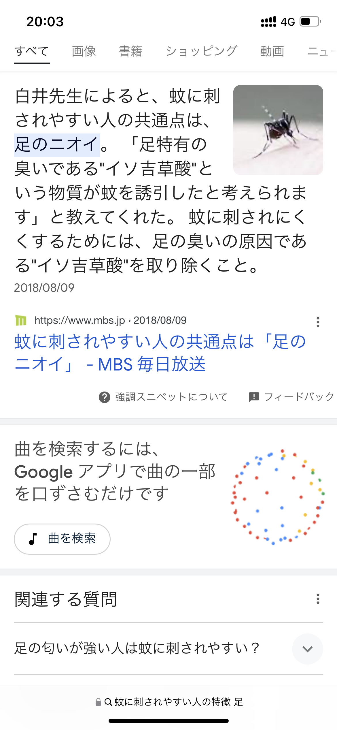 まだ蚊に刺される