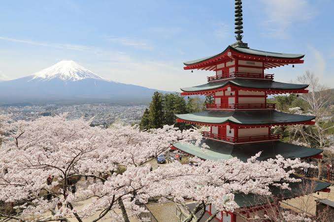 写真と全然違うじゃん…外国人観光客が漏らした「京都旅行」のホンネ