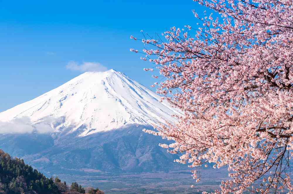 写真と全然違うじゃん…外国人観光客が漏らした「京都旅行」のホンネ