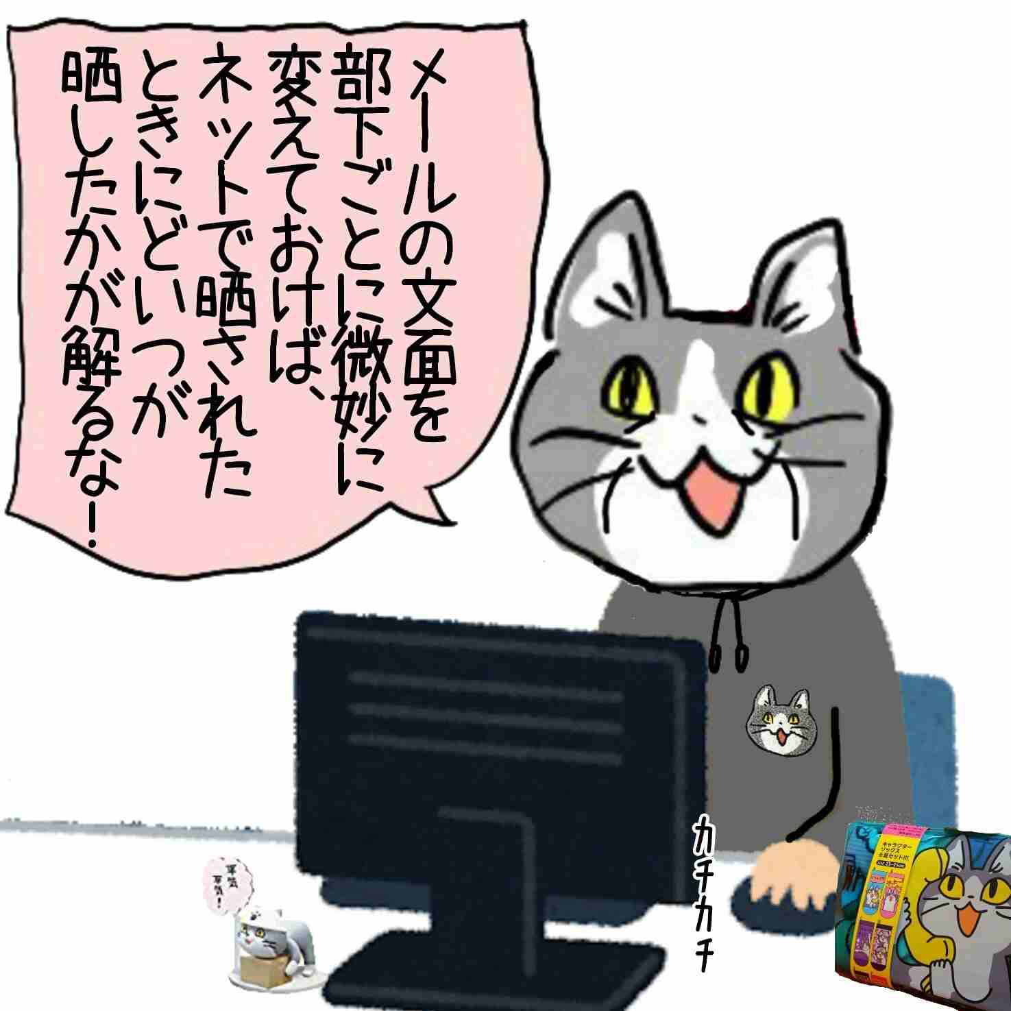 Vパレードのボランティアに配布されたジャンパーなどがメルカリで高額取引「節操がない」「やってるの公務員なんだよね？」「気分悪い」