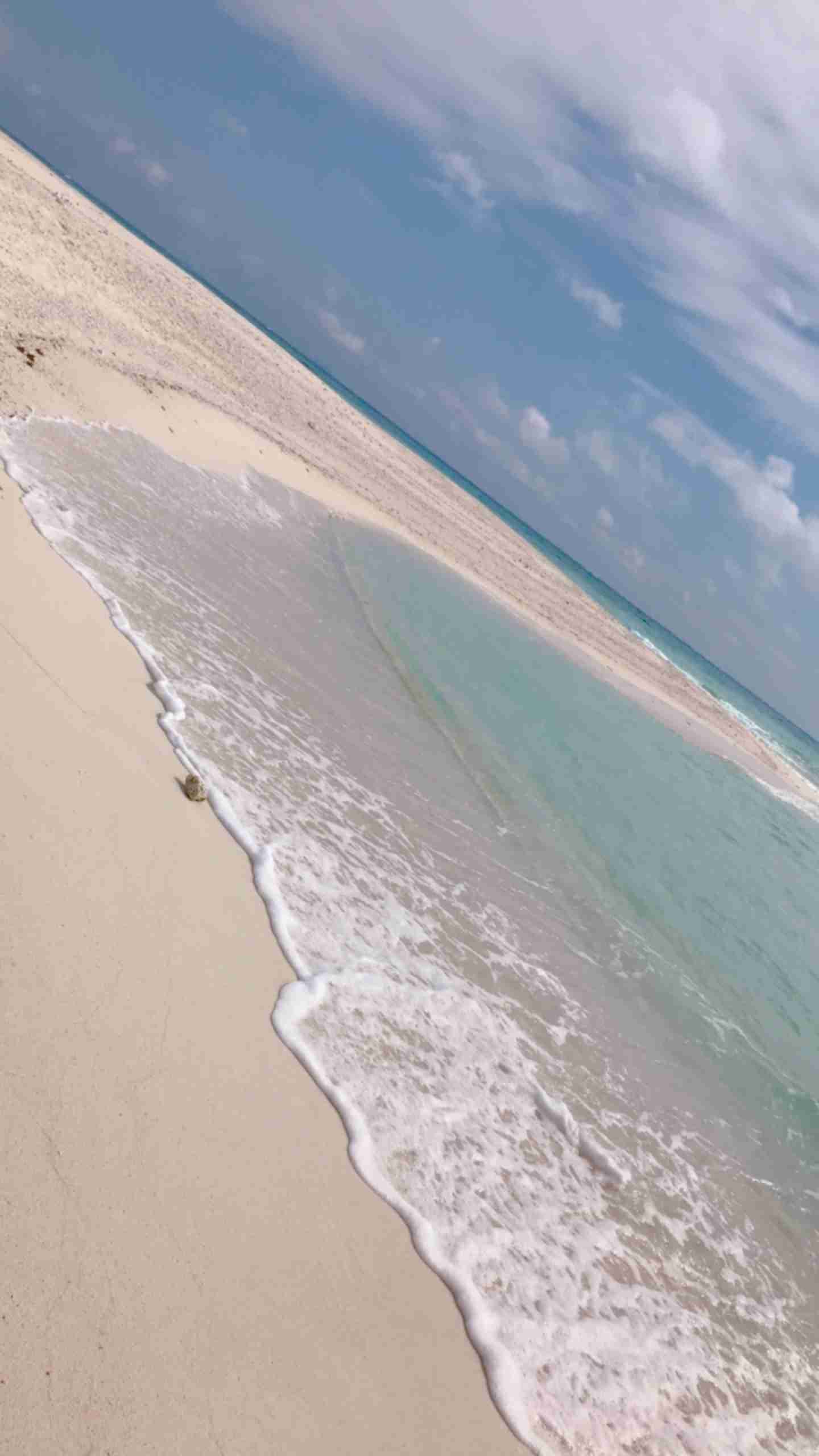 沖縄の画像を見せてください