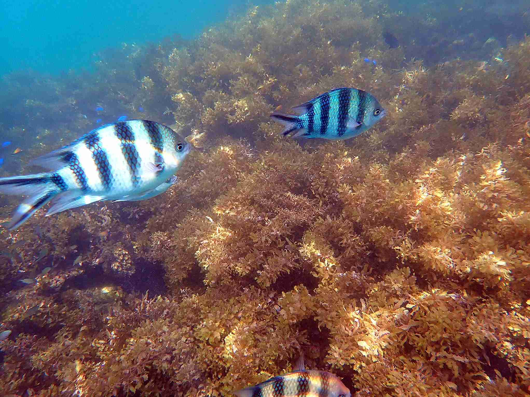 沖縄の画像を見せてください