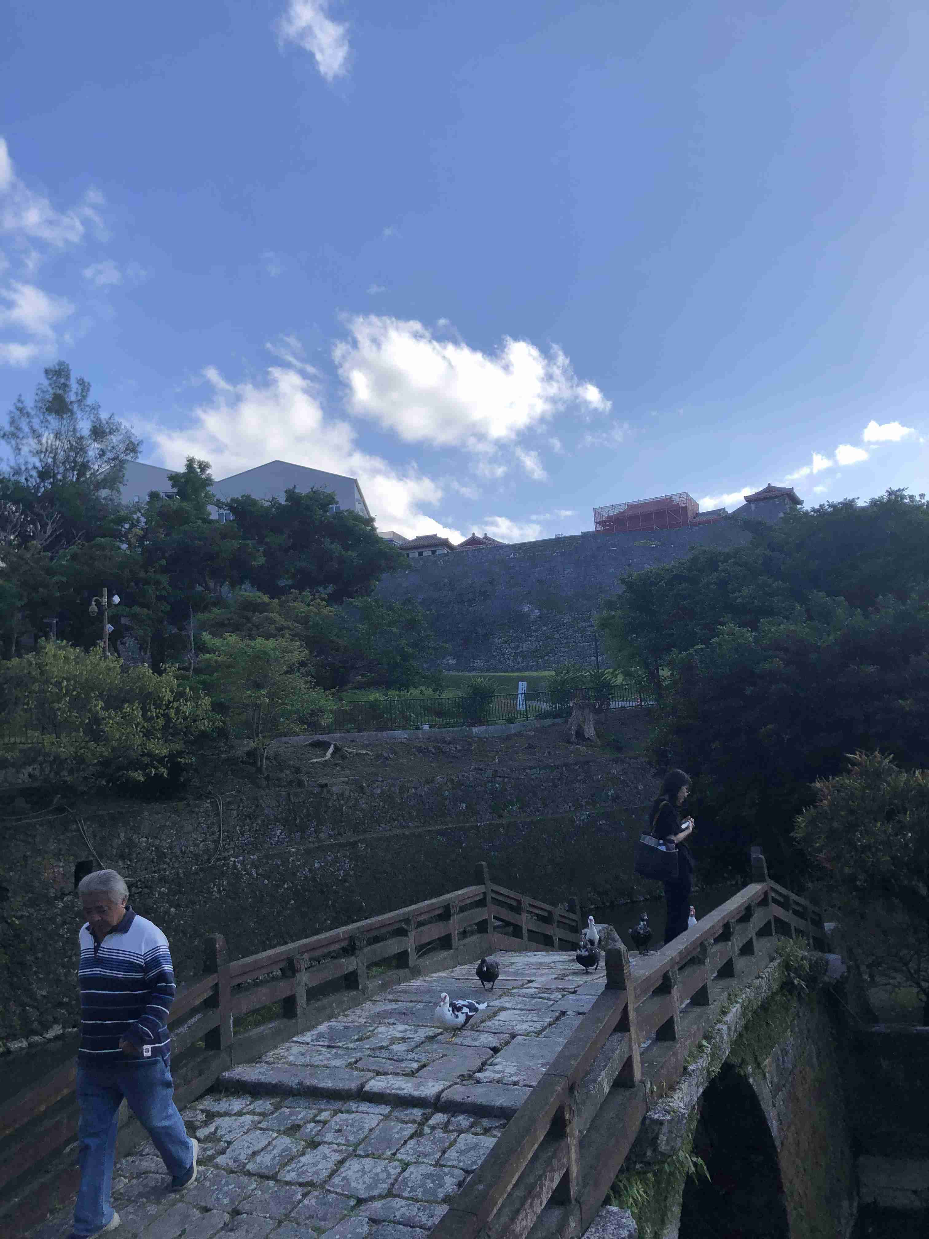 沖縄の画像を見せてください