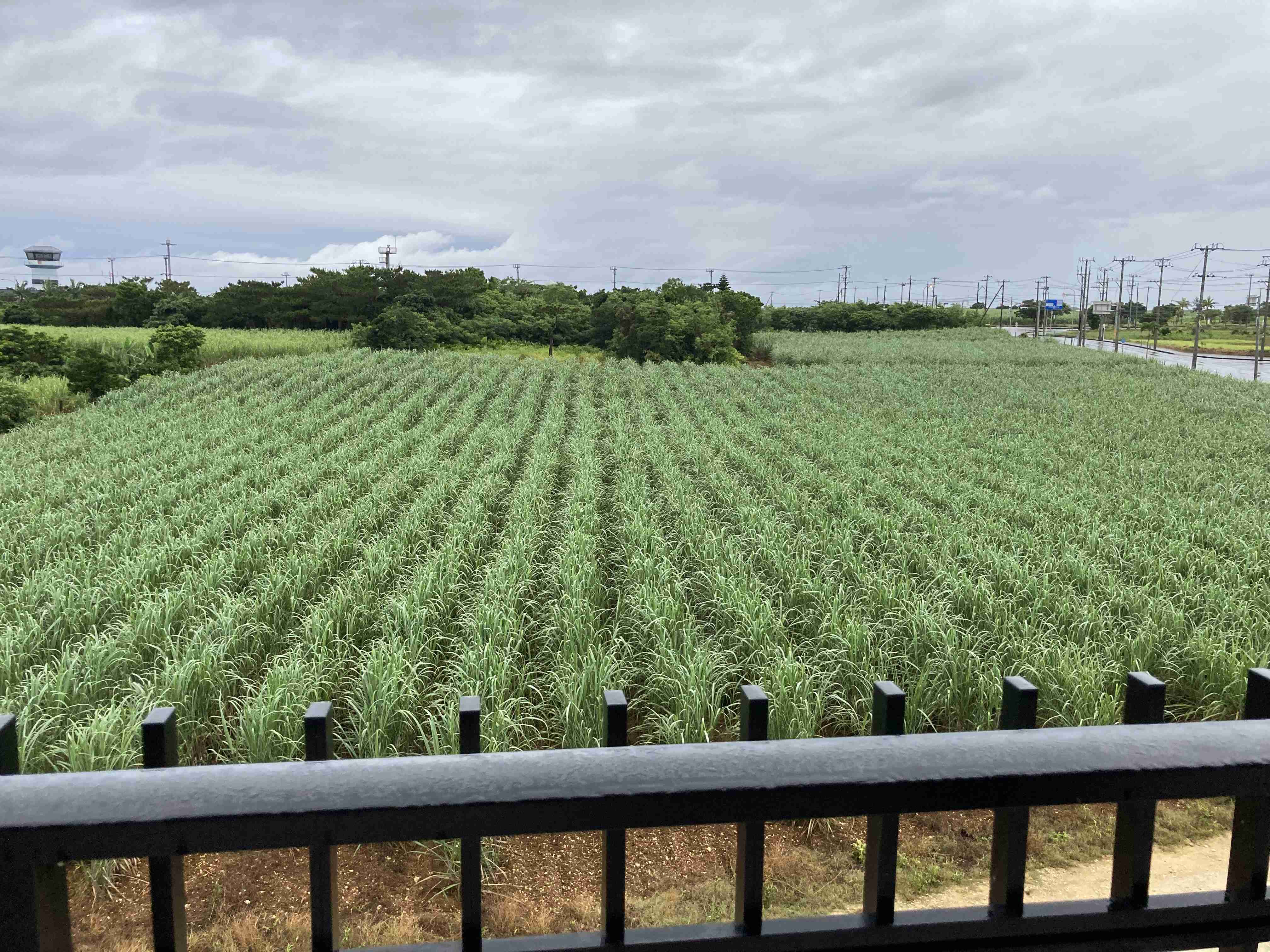 沖縄の画像を見せてください