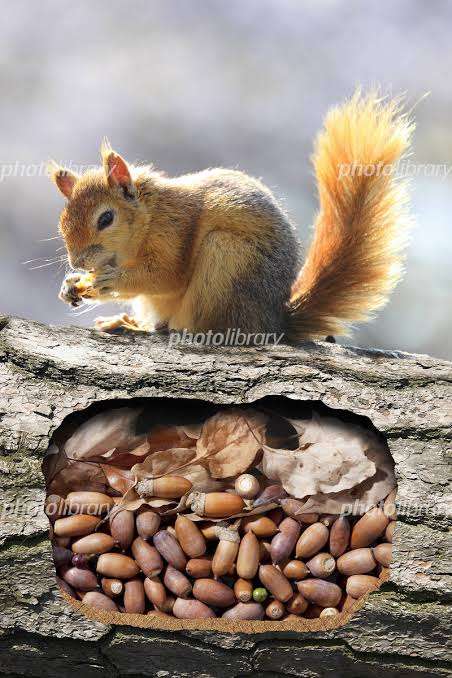 【冬到来】みなさん、冬の備えは出来ていますか？