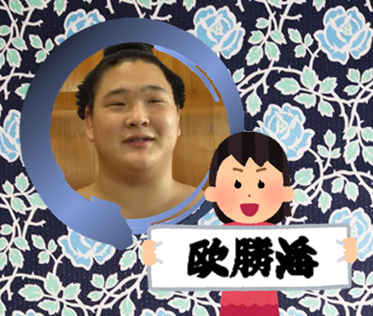 【感想・実況】大相撲11月九州場所を応援するトピ📣