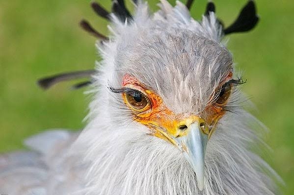 サントリーのウイスキー値上げ額詳細が公開されSNSでも嘆きの声　「もう買えない……」「今ですら厳しいのに」