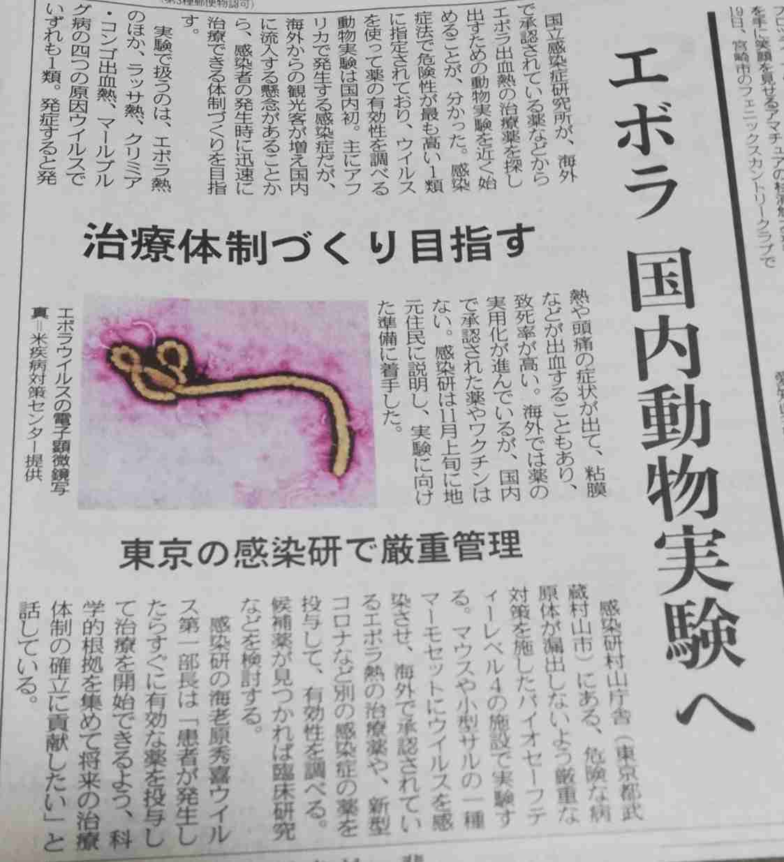 日清食品HD、通期見通し「過去最高」を更新、背景に「値上げ効果」