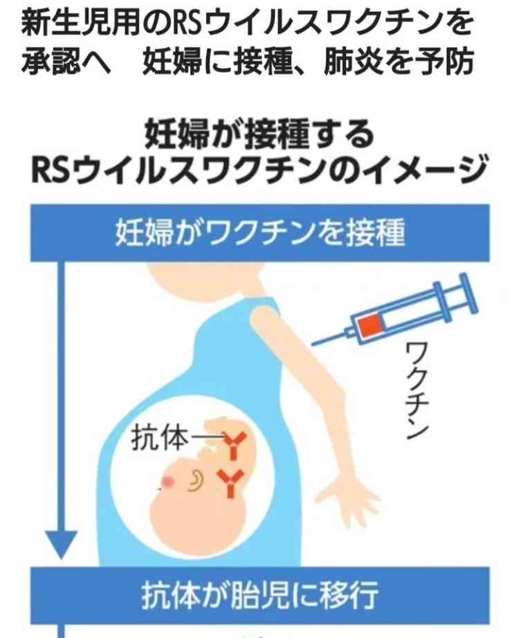 日清食品HD、通期見通し「過去最高」を更新、背景に「値上げ効果」