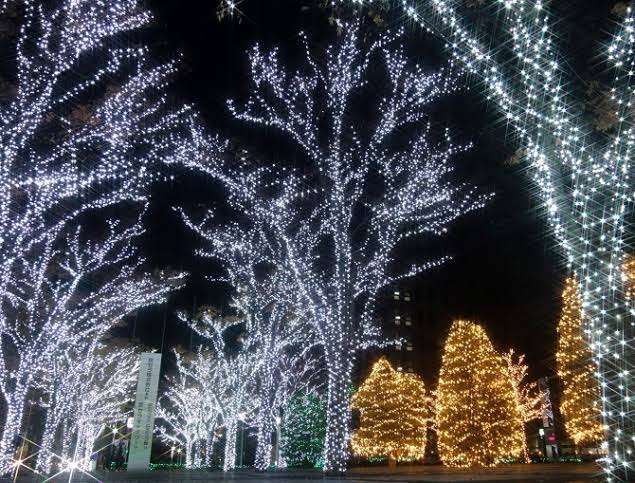 奈良市中心部の冬のイルミネーション、県民から「別のところにお金使って」の声…今年度中止に