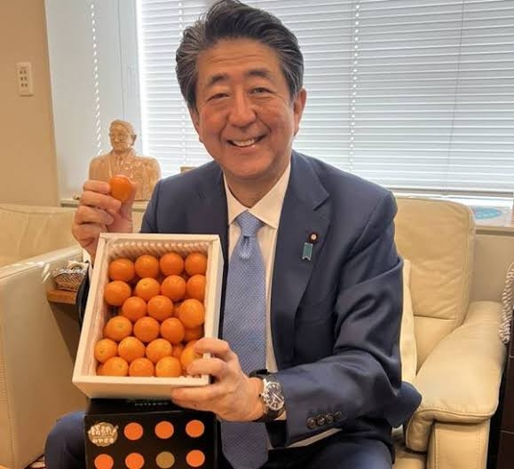 「“もう1度総理をやって欲しい”とお願いされたら？」益若つばさが菅義偉前総理に直球質問