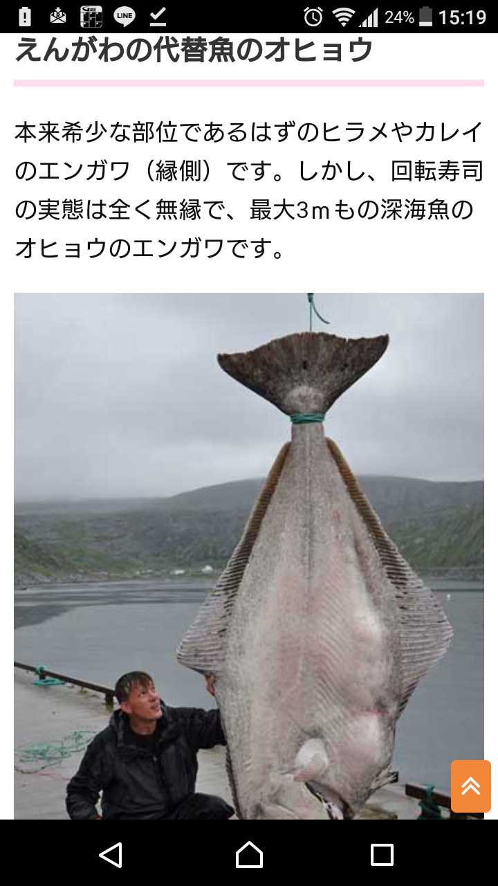 とにかくデカいものの画像