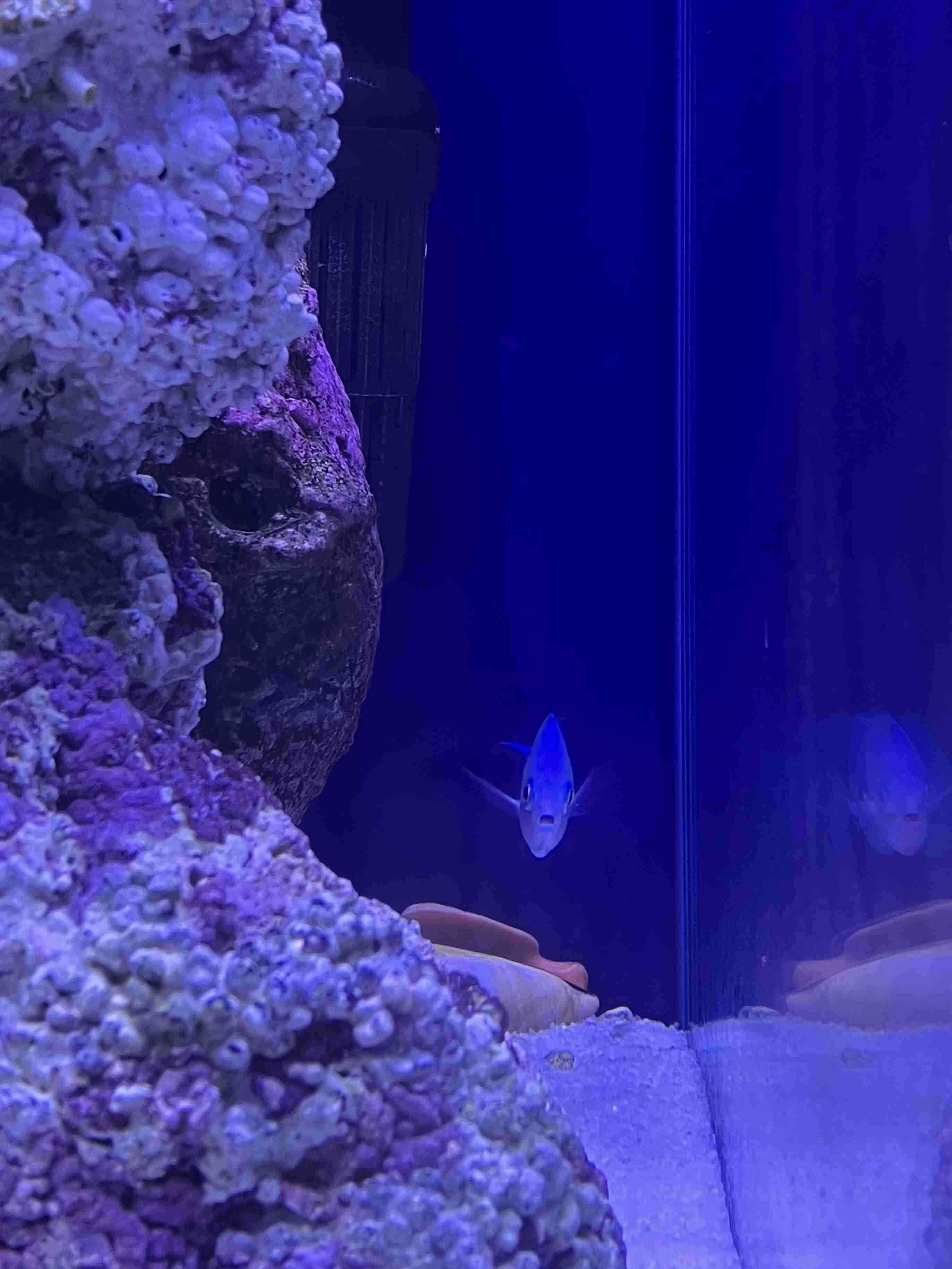 画像を見て曲のタイトルを当ててください