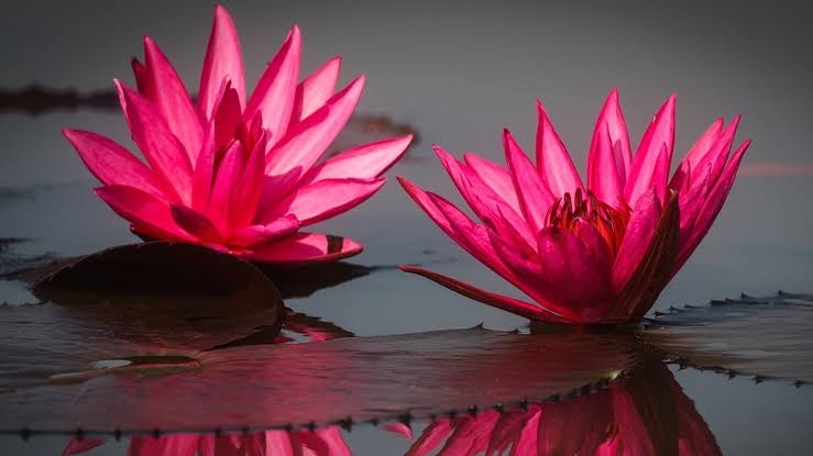 画像を見て曲のタイトルを当ててください