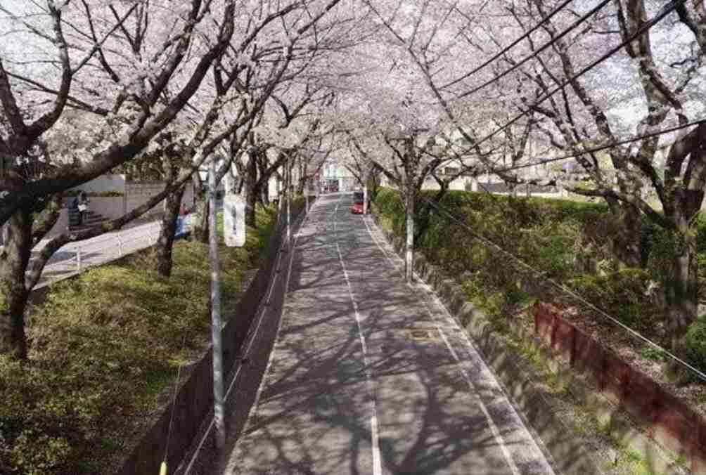 画像を見て曲のタイトルを当ててください