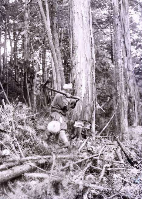 画像を見て曲のタイトルを当ててください