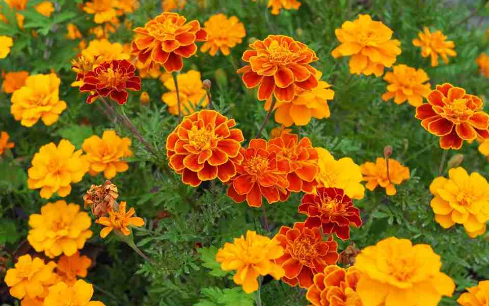 画像を見て曲のタイトルを当ててください