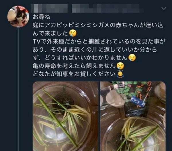 面白い誤字、誤植を貼ってストレスを吹き飛ばすトピ