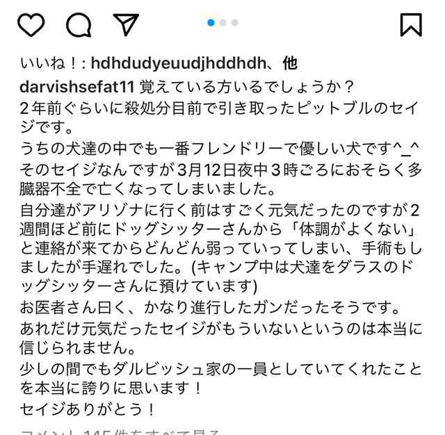 大谷翔平　MVP発表“同席”ワンちゃんは自身の愛犬、本紙取材で判明　「最近飼い出した」