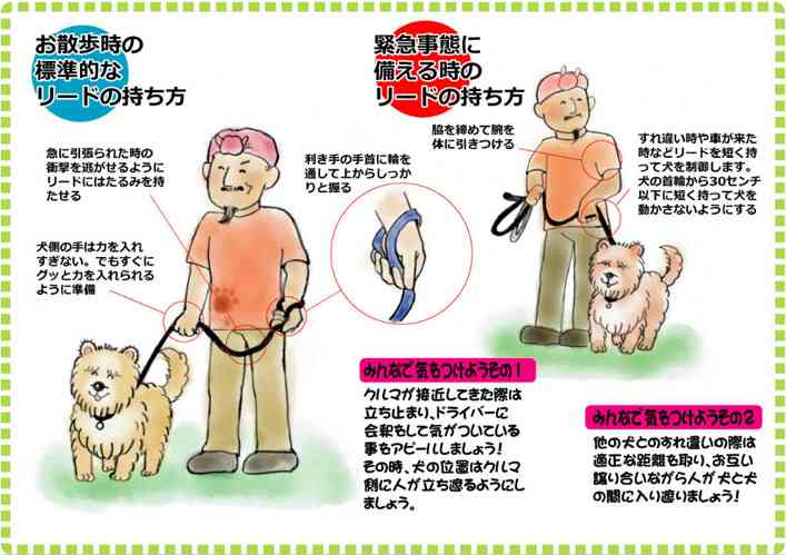 【犬】ノーリードや伸びるリードについて
