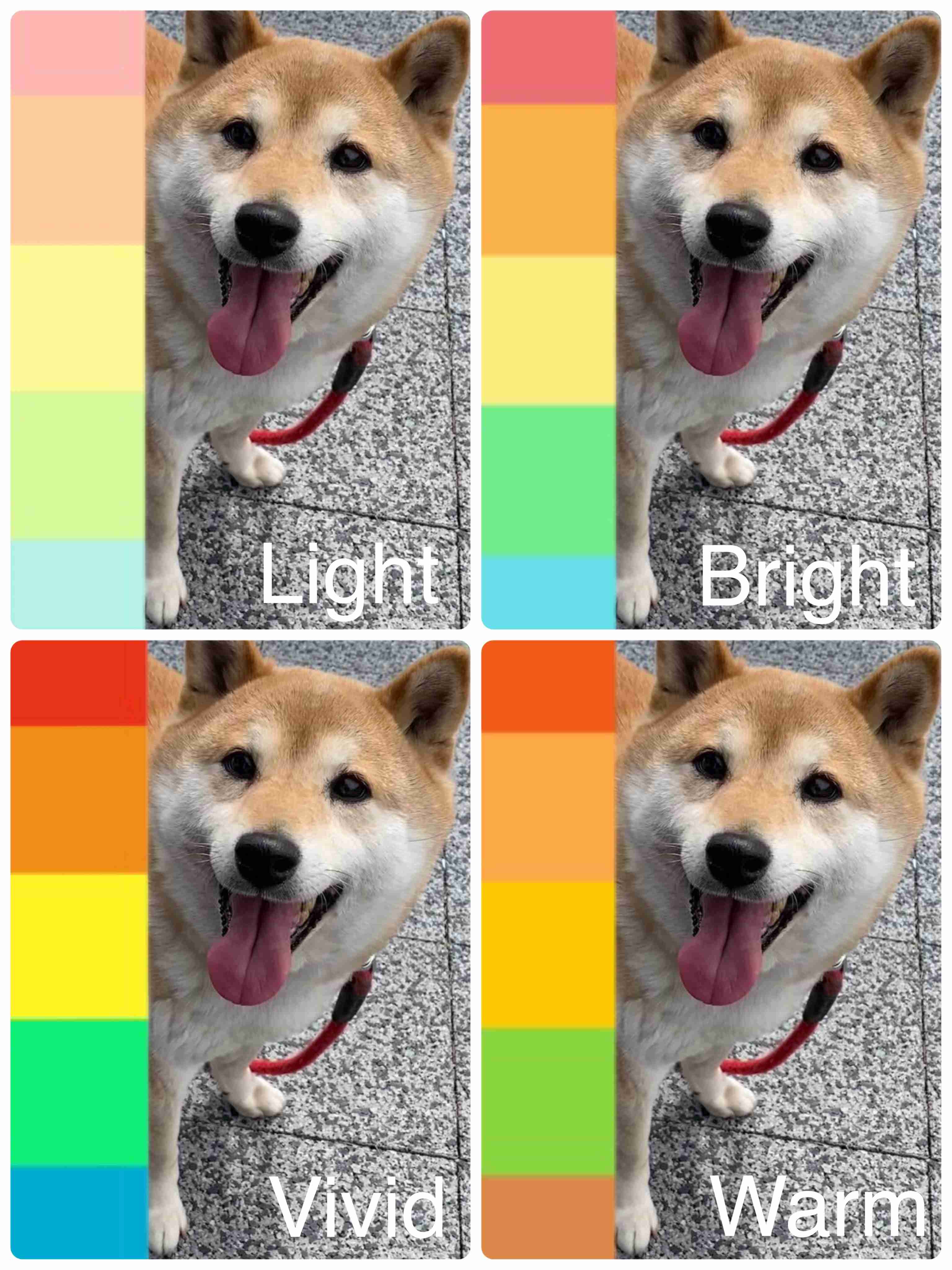 ペットの画像を貼ると詳しいガル民がパーソナルカラーを推測してくれるトピpart2
