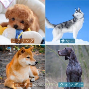 ペットの画像を貼ると詳しいガル民がパーソナルカラーを推測してくれるトピpart2