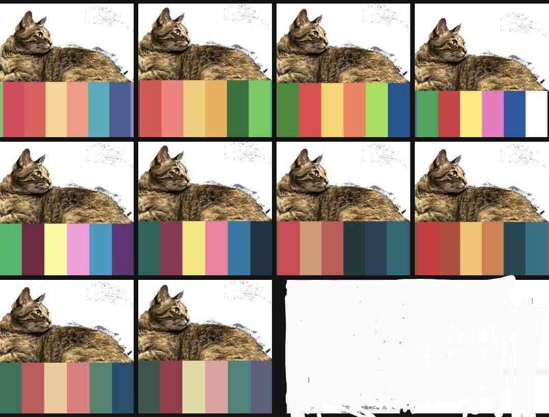 ペットの画像を貼ると詳しいガル民がパーソナルカラーを推測してくれるトピpart2