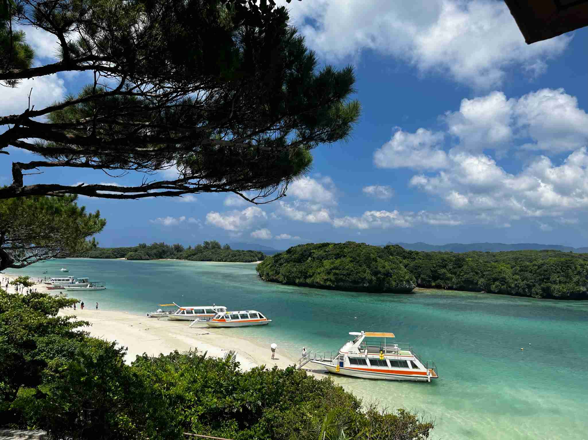 新婚旅行の思い出やプランを教えてください！
