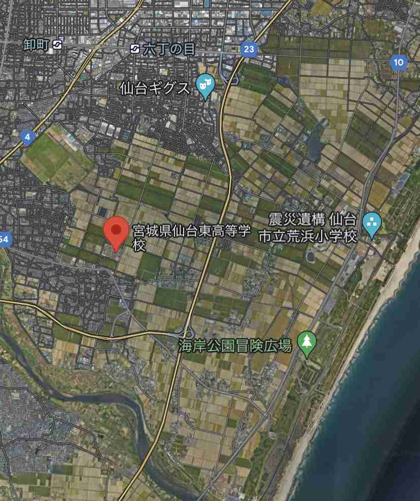 仙台市若林区にイノシシ出没　高校の窓ガラス突き破る　けが人無し　通行人と衝突　車破損の通報も