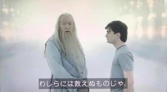 フィフィ「海外でホストって無いんですよ」“色恋営業”は「成り立たないビジネス」と持論
