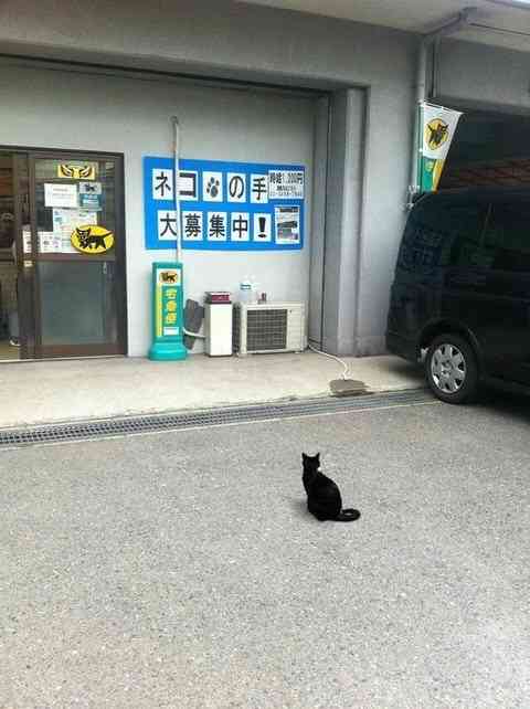 繁忙期の短期バイト