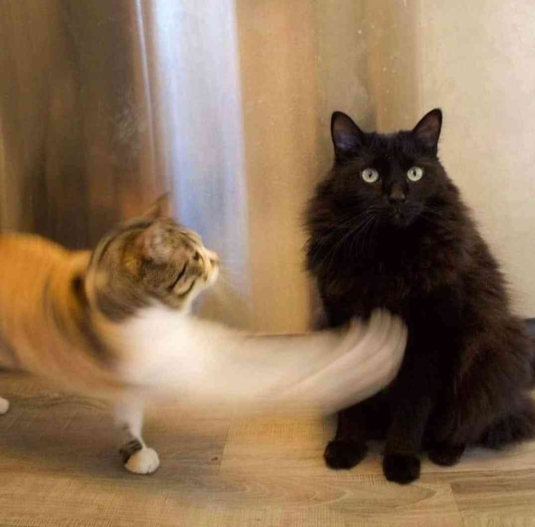 今日あったトラブルを書き出そう