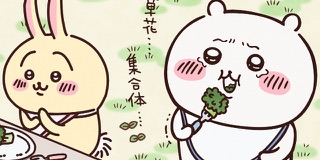 ブロッコリー好きな人！