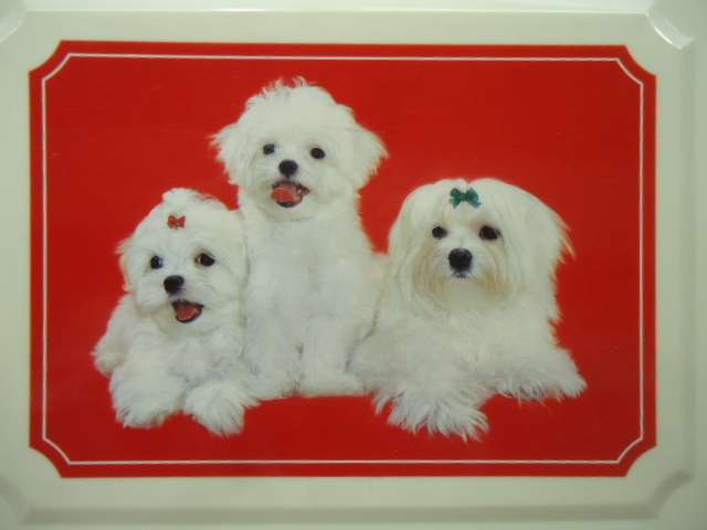 【4箱目】小学生の時に選んだ裁縫箱と年齢を申告するトピPart4