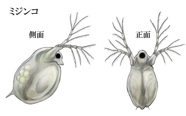 地球外生命体っていると思う？？