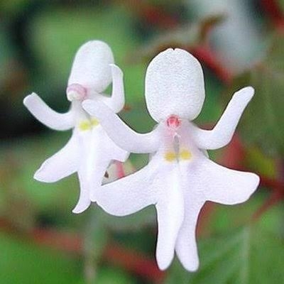 地球外生命体っていると思う？？