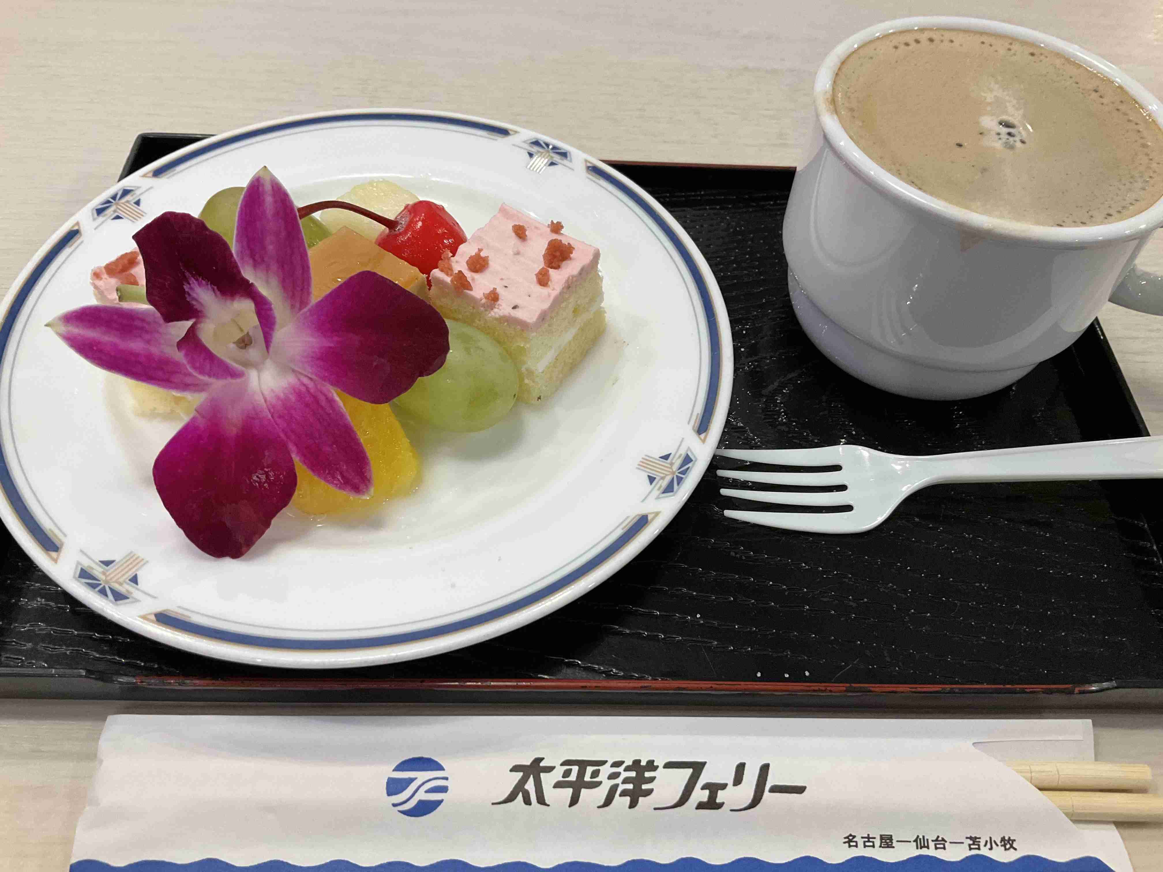 【ふなたび】船旅【フェリー】